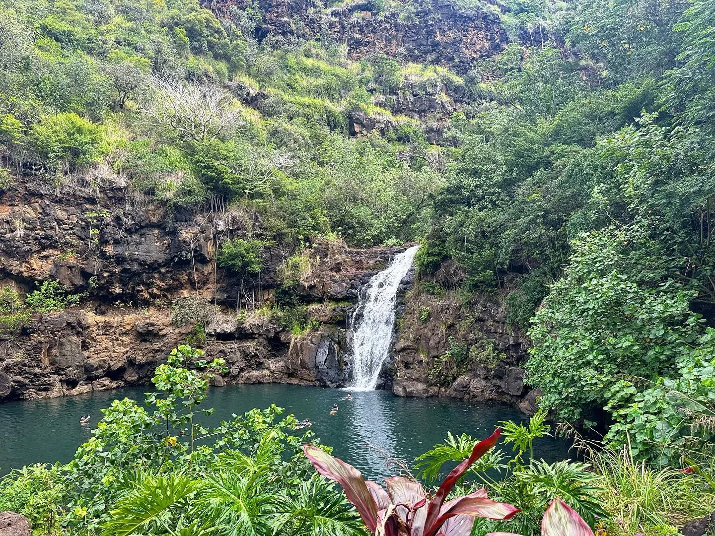 Waimea Falls