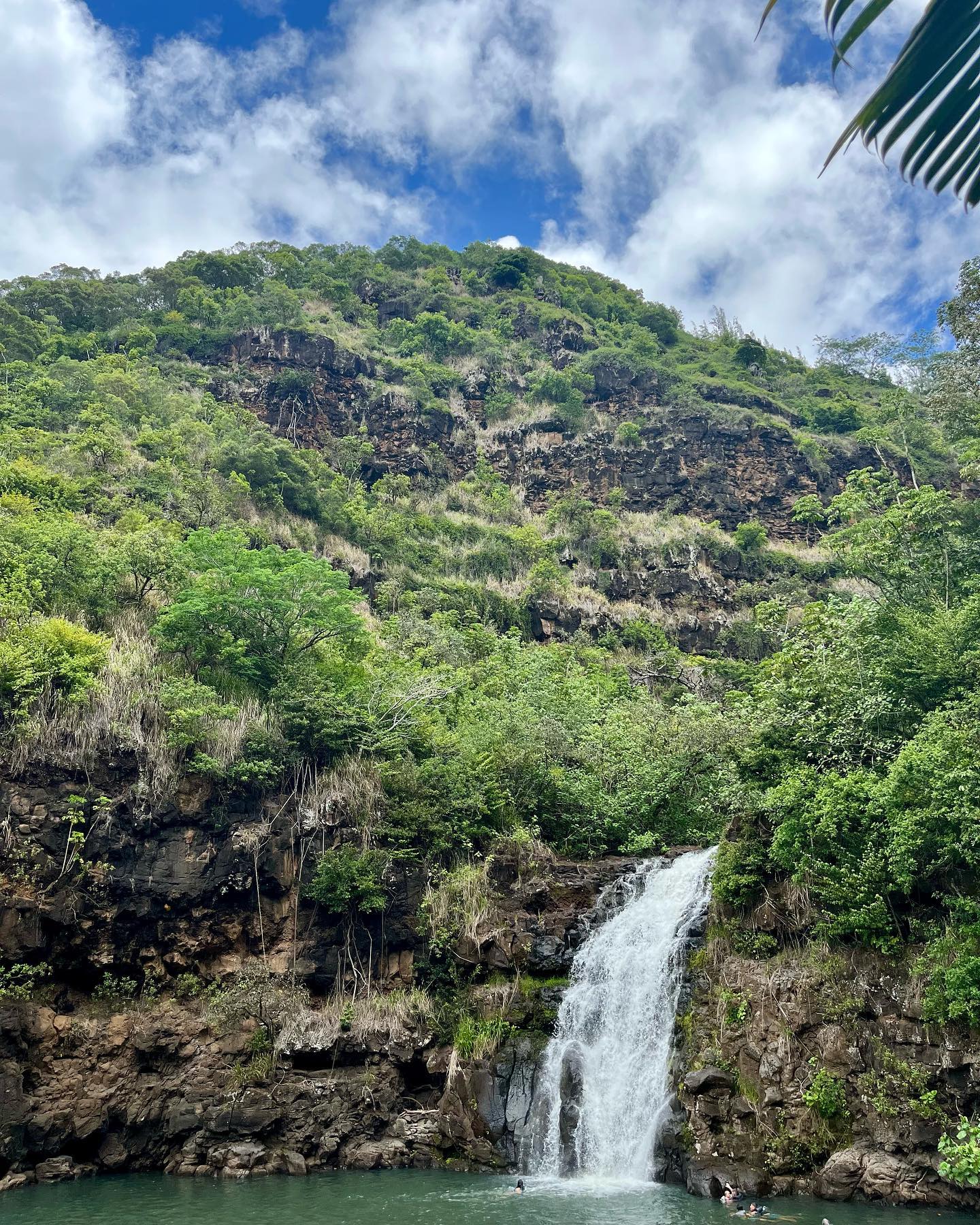 Waimea Falls view