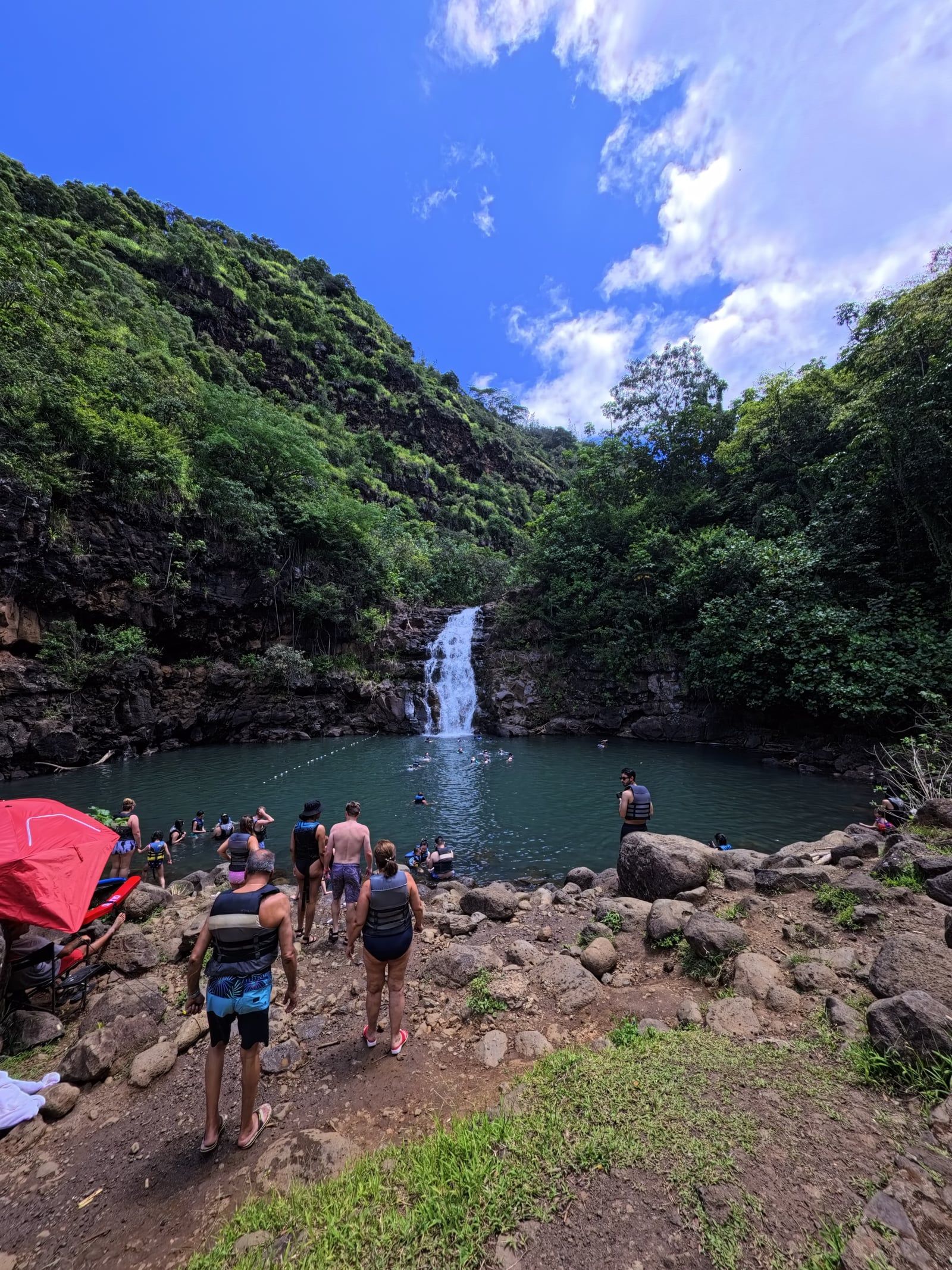 Waimea Falls view