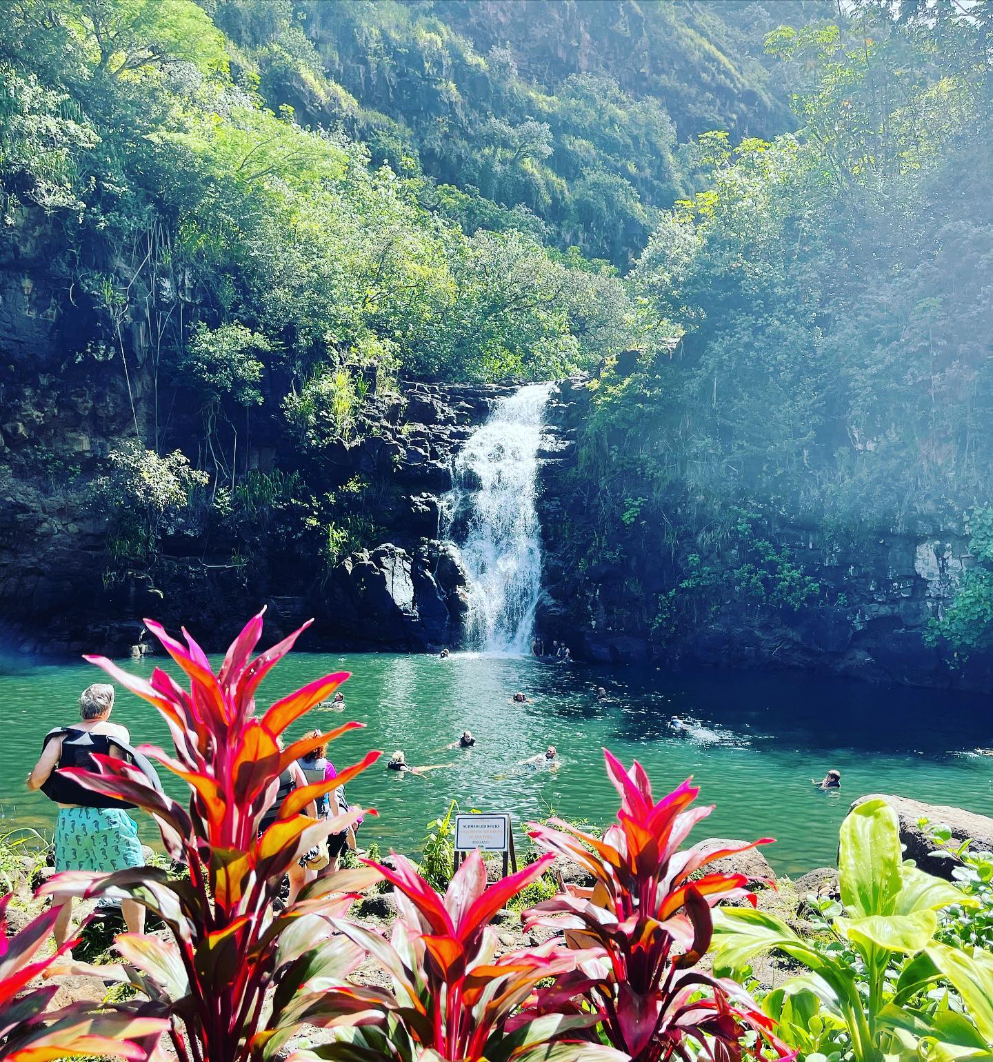 Waimea Falls view