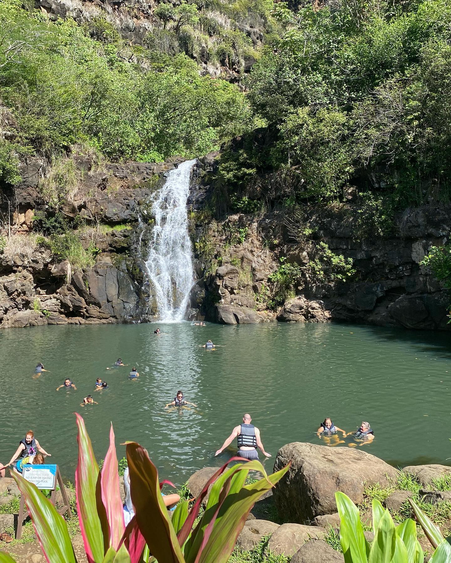Foto de un visitante del tour por Cataratas Waimea